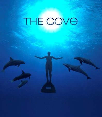 the cove